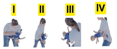 Görsel